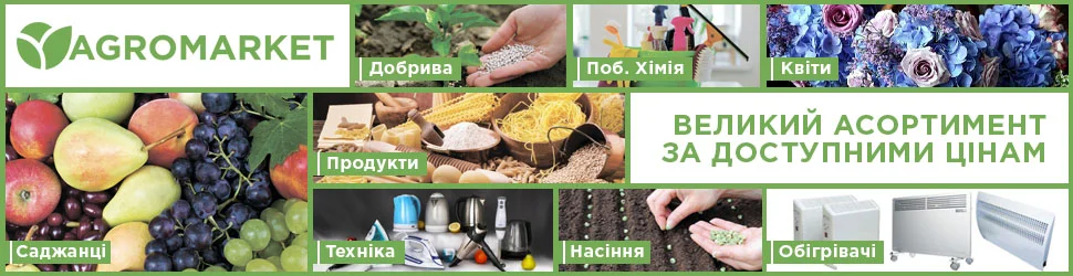 Бонус