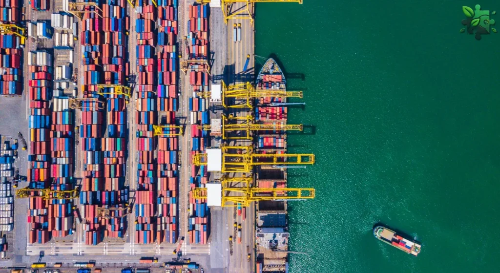 Ключевые этапы работы стевидора в терминалах Formica