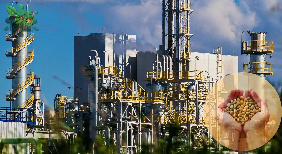 Соєва олія від виробника: як обирати та які документи має мати постачальник